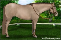 Horse Color:Black Pearl  Brindle