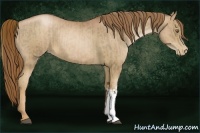 Horse Color:Liver Chestnut Pearl  and Liver Chestnut Pearl 