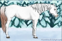 Horse Color:Brown Dun Near Leopard 