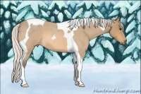 Horse Color:Silver Buckskin Roan Tobiano 
