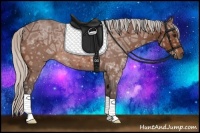 Horse Color:Silver Bay Ice Roan 