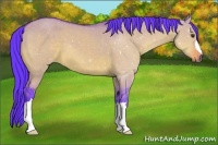Horse Color:Watercolor Buckskin Dun 