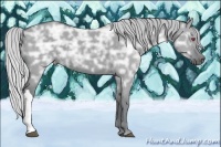 Horse Color:Silver Grullo Chinchilla Ice 