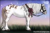 Horse Color:Chestnut Sabino Frame Appaloosa 