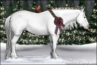 Horse Color:Liver Chestnut Sabino Appaloosa