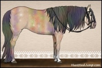 Horse Color:Nacre Bay Dun Sabino 