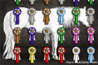 Horse Color:Gray Buckskin Dun Sabino 