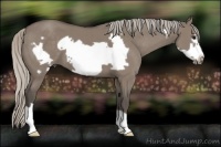 Horse Color:Silver Grullo Frame 