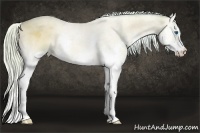 Horse Color:Watercolor Silver Bay Roan Onyx Splash