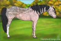 Horse Color:Brown Ice