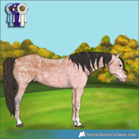 Horse Color:Brown Ice 