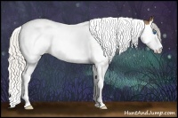 Horse Color:Silver Buckskin Splash Tobiano