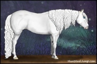 Horse Color:Silver Perlino Roan Splash Tobiano 