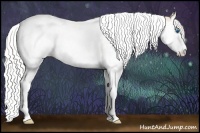 Horse Color:Silver Perlino Roan Splash Tobiano 