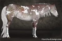 Horse Color:White Spotted Chocolate Silver Black Chinchilla 