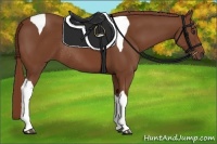 Horse Color:Chestnut Tobiano Rabicano 