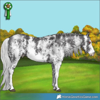 Horse Color:Silver Smoky Black Chinchilla Ice Sabino 