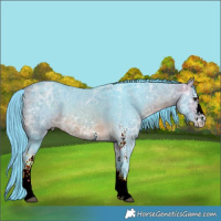 Horse Color:Watercolor White Spotted Buckskin Ice 