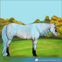 Horse Color:Watercolor White Spotted Buckskin Ice 