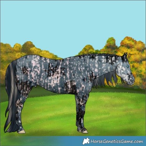 Horse Color:Smoky Creme Ice Tobiano and ERROR: UNKNOWN ANOMALY