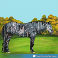 Horse Color:Smoky Creme Ice Tobiano  and ERROR: UNKNOWN ANOMALY