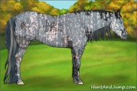 Horse Color:Smoky Creme Ice Tobiano  and ERROR: UNKNOWN ANOMALY