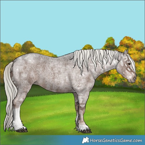 Horse Color:Liver Red Ice Roan Mushroom 