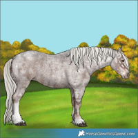 Horse Color:Liver Red Ice Roan Mushroom
