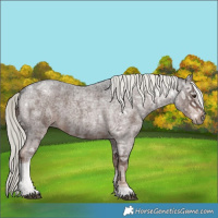 Horse Color:Liver Red Ice Roan Mushroom 