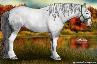 Horse Color:White Spotted Liver Chestnut Sabino