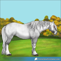 Horse Color:White Spotted Silver Buckskin Chinchilla Roan Onyx