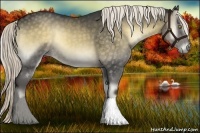 Horse Color:Chocolate Palomino Onyx