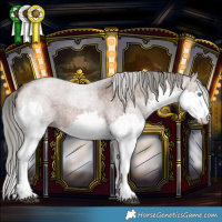 Horse Color:Liver Red Roan Mushroom Sabino Splash 