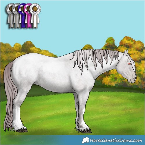 Horse Color:White Spotted Chocolate Blue Chinchilla Ice Roan Pearl 