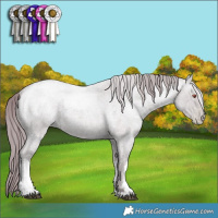 Horse Color:White Spotted Chocolate Blue Chinchilla Ice Roan Pearl
