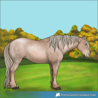 Horse Color:Liver Chestnut Pearl Mushroom 