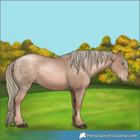 Horse Color:Liver Chestnut Pearl Mushroom