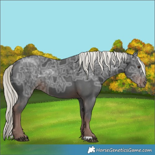 Horse Color:Liver Chestnut Ice Mushroom Rabicano 