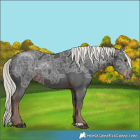 Horse Color:Liver Chestnut Ice Mushroom Rabicano
