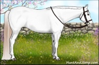 Horse Color:Liver Chestnut Varnish 