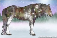 Horse Color:Nacre White Spotted Brown Ice Dun 