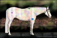 Horse Color:Nacre Silver Perlino Dun Sabino 