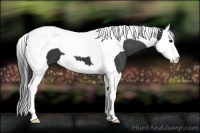 Horse Color:Black Splash Tobiano