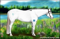 Horse Color:Chestnut Tobiano Snowflake Varnish