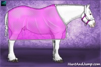 Horse Color:Silver Black Chinchilla Sabino Varnish 