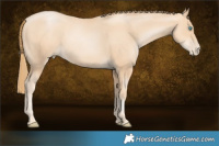 Horse Color:Gold Champagne Pearl