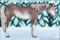 Horse Color:Chocolate Silver Brown Chinchilla Sabino 