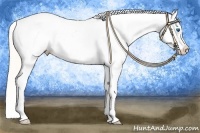 Horse Color:White Spotted Silver Bay Ice Pearl Frame Appaloosa