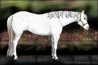 Horse Color:Bay Tobiano Varnish 