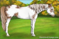 Horse Color:White Spotted Chestnut Frame